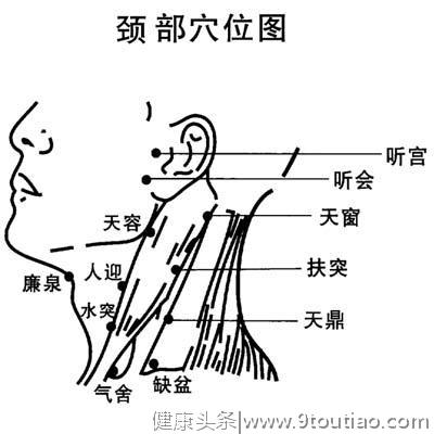 「转载」人体头部穴位图