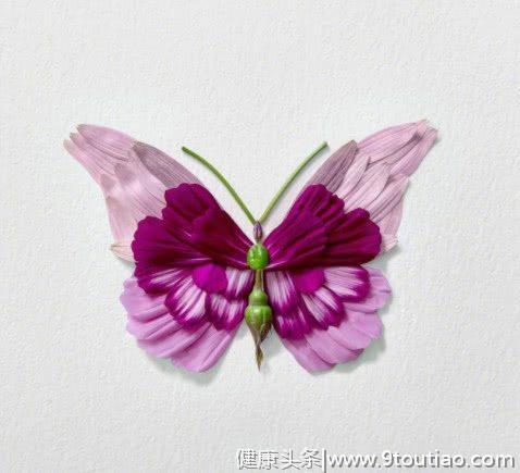 心理测试：哪只蝴蝶最漂亮？看你在6月份会收获什么“惊喜”