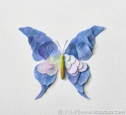 心理测试：哪只蝴蝶最漂亮？看你在6月份会收获什么“惊喜”