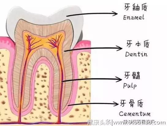 你知道吗？牙齿也会“感冒”