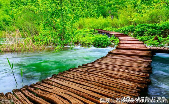 心理测试：你喜欢哪条寂静的小路？测后半生你的“保护神”是谁？