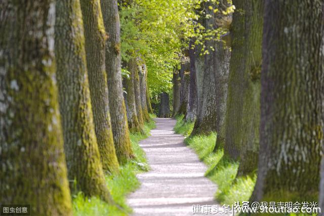 心理测试：你喜欢哪条寂静的小路？测后半生你的“保护神”是谁？