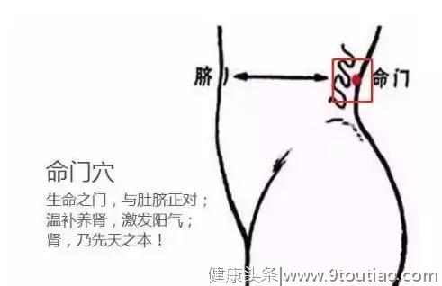 艾灸督脉，开发自己携带的大药房