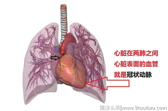 冠心病的科普文章，这一篇是最精美，最简洁易懂的