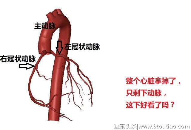 冠心病的科普文章，这一篇是最精美，最简洁易懂的