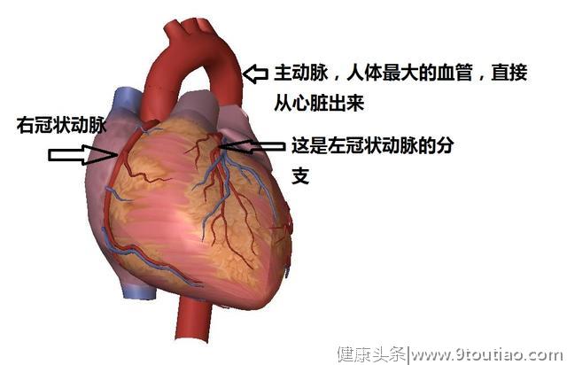 冠心病的科普文章，这一篇是最精美，最简洁易懂的