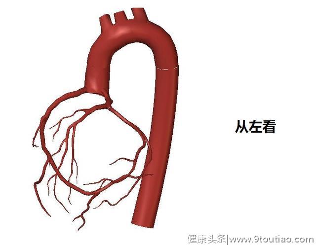 冠心病的科普文章，这一篇是最精美，最简洁易懂的