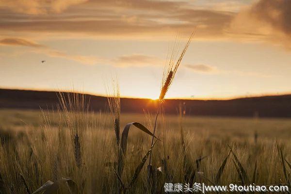 芒种进入最佳养生期：做到这5点，帮你度过苦夏