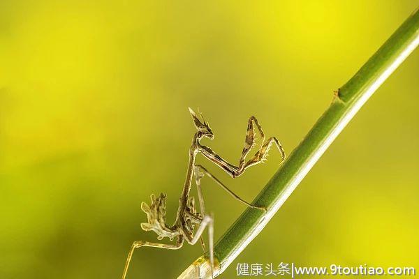 芒种进入最佳养生期：做到这5点，帮你度过苦夏