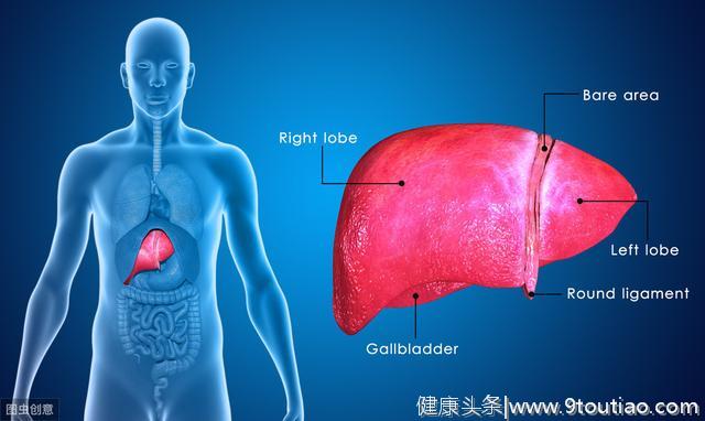 肝脏不好的人，身体三处可能会发红，别不在意，可能是肝病来袭