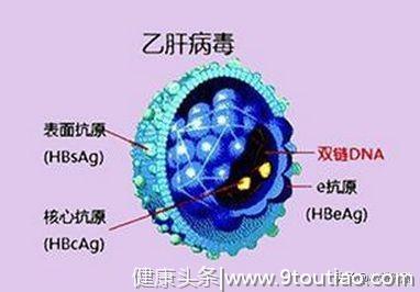 肝病轻重怎么看，是看大三阳，小三阳吗？