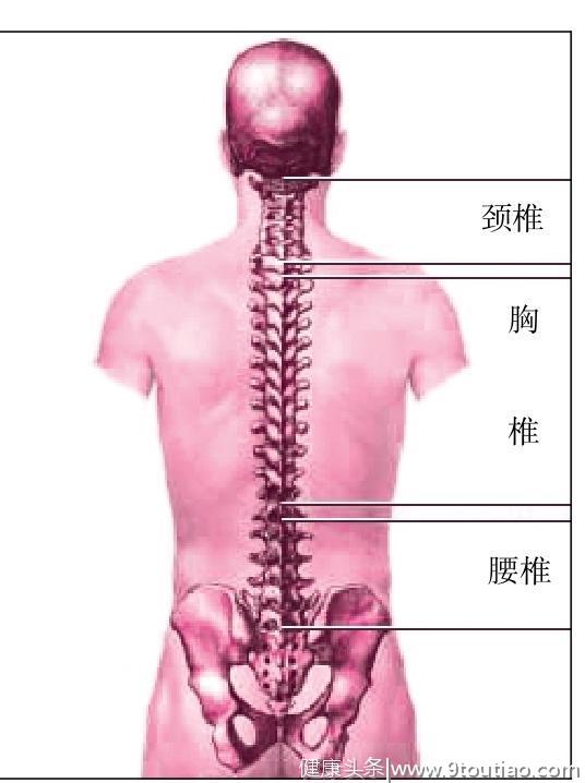 颈椎病在手掌和面部的体现