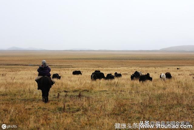 心理测试：假如很累，你想去哪里放松？测你近期最大的收货是什么