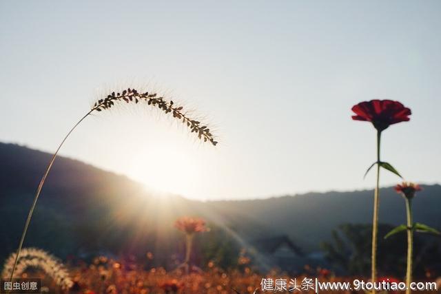 心理学：一个人到底值不值得深交！看这些就知道了