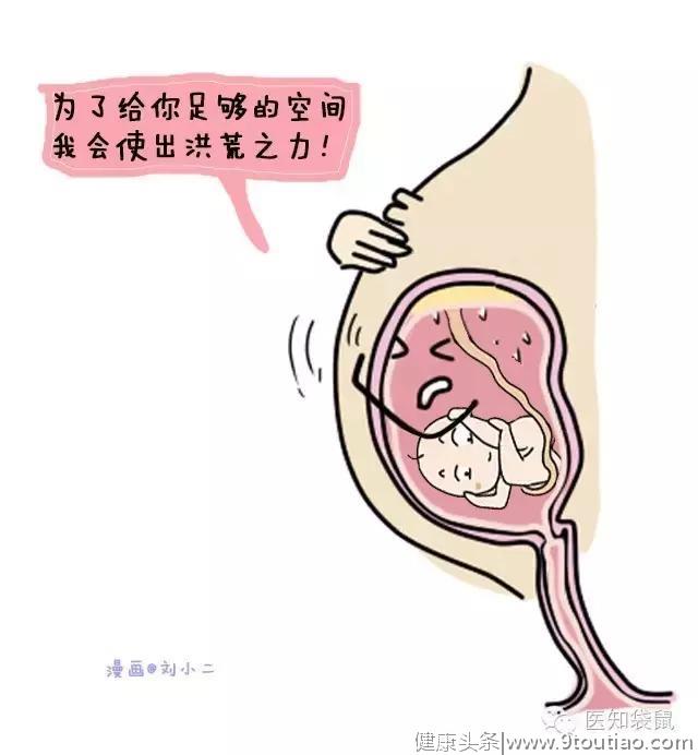 鸡蛋大的子宫是怎么孕育胎儿的？有图有真相！