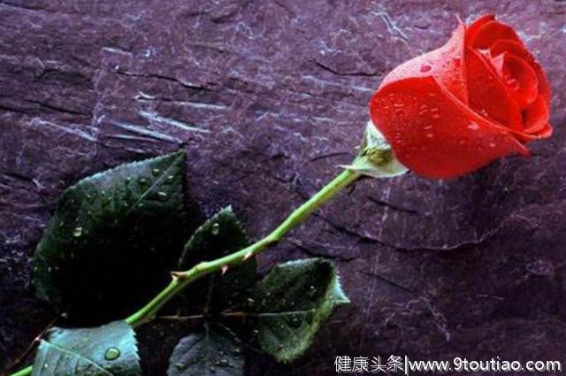 心理测试：觉得哪一只玫瑰最迷人？测你情感上需要注意什么