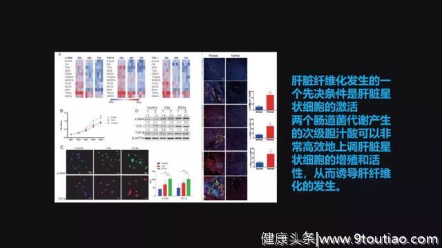 贾伟：肝病肠治？且看肠道细菌如何对肝病推波助澜