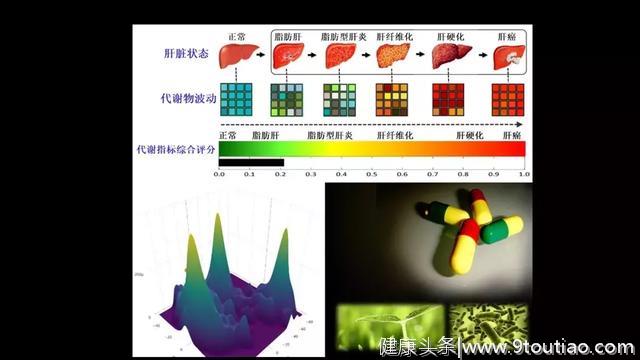 贾伟：肝病肠治？且看肠道细菌如何对肝病推波助澜