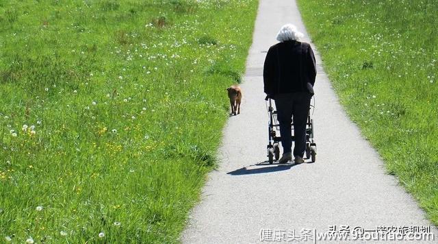 休闲农业加养生 田园养老生活 成为中国老年人最爱