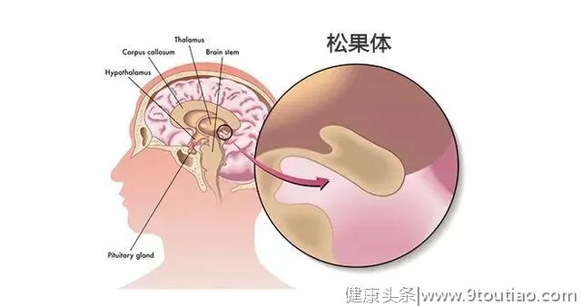 失眠常吃褪黑素会中风？日常遵守这几条，助你睡眠质量好