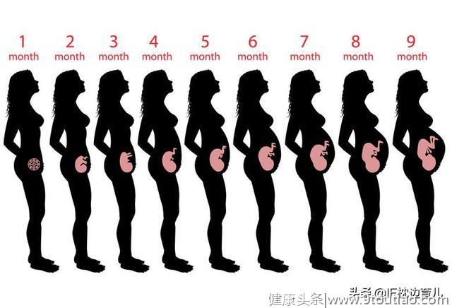 怀孕有多辛苦？五张图带你看看孕期全过程，孕妈们辛苦了
