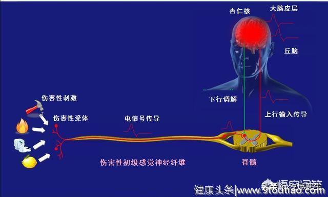 怕光、怕声、身体疼痛！精神科医生为你讲述“不一样的抑郁”