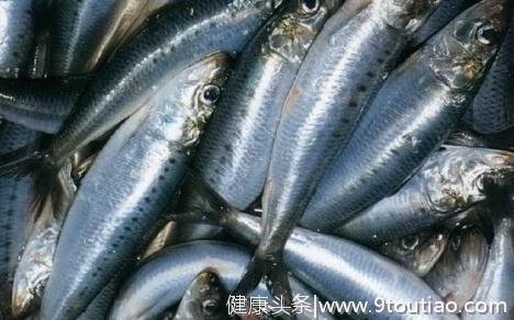 沙丁鱼的营养价值-沙丁鱼的食疗作用