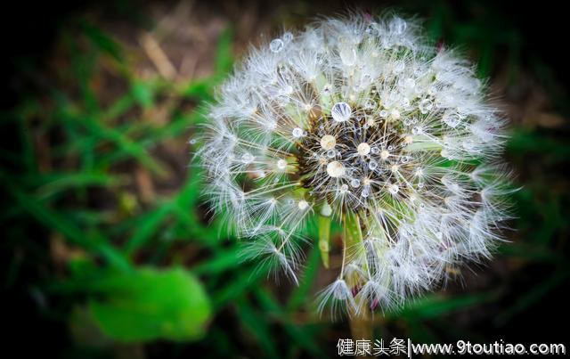 心理学家：落魄的时候，假装自己有钱，会让你变得不一样