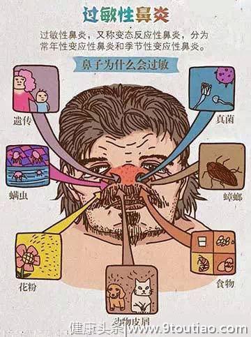 一想二骂三感冒，连打5、6个喷嚏的，可能是鼻炎