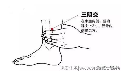 养生，就是创造条件让“身体自养”