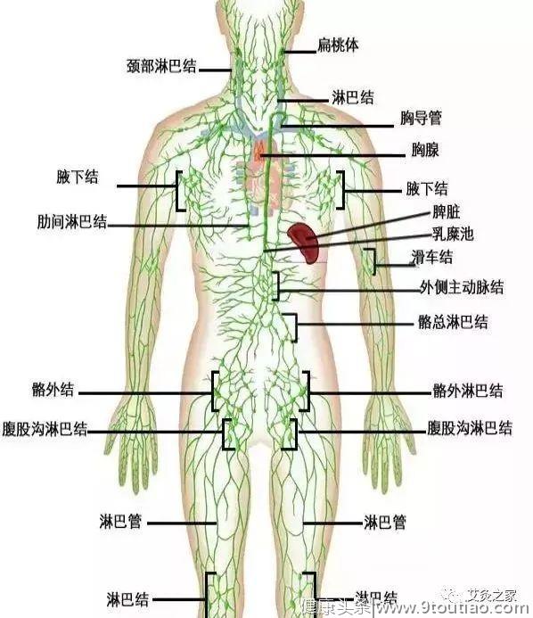 艾灸一次淋巴，胜过十次美容护理？