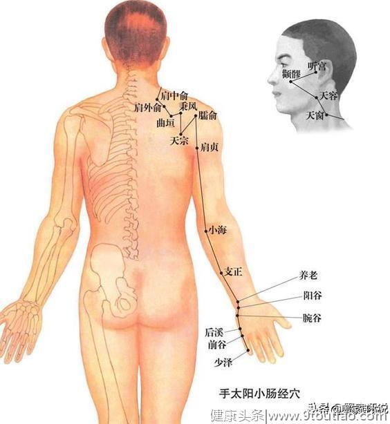 穴位多，真的，真的记不住？