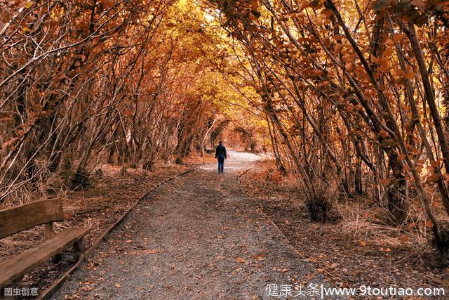 心理测试：你面前4条路，你会选择走哪条？测你什么时候遇到真爱