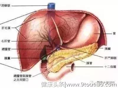 又一著名演员突然患癌离世！这种癌症被发现多数晚期