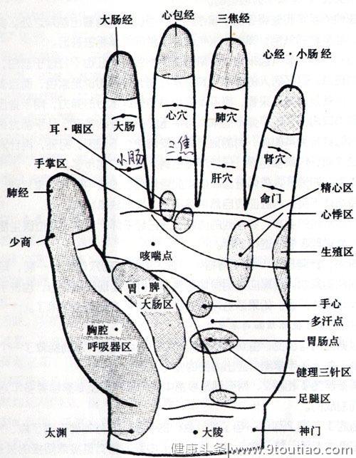 手掌上的穴位图解，齐了，建议收藏