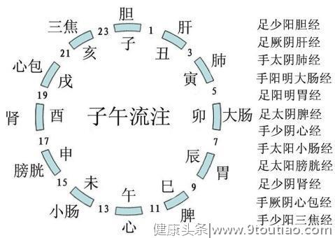 养生没头绪？跟着河南省中医院李鲜教授学十二时辰养生（中）