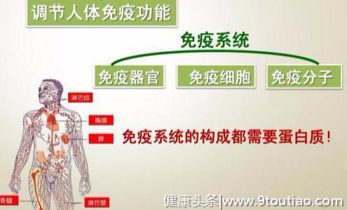 最新研究：科研人员找到了重振免疫细胞功能并阻止癌症的方法