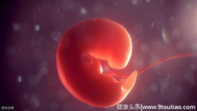 怀孕40多天怎么看胚胎质量？看这几点：孕酮、HCG、早孕反应和B超