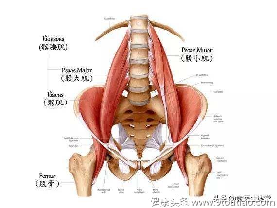 膝关节疼痛不一定都要手术！按压3个穴位，膝盖舒活经络，更灵活