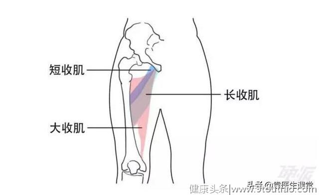 膝关节疼痛不一定都要手术！按压3个穴位，膝盖舒活经络，更灵活
