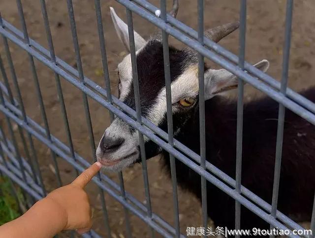 城里孩子得哮喘的越来越多是因为家里太干净？请“菌”入门有帮助