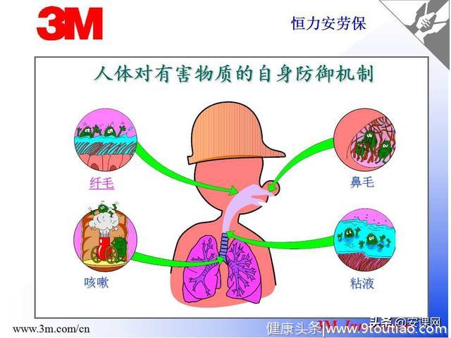 呼吸系统防护四步骤