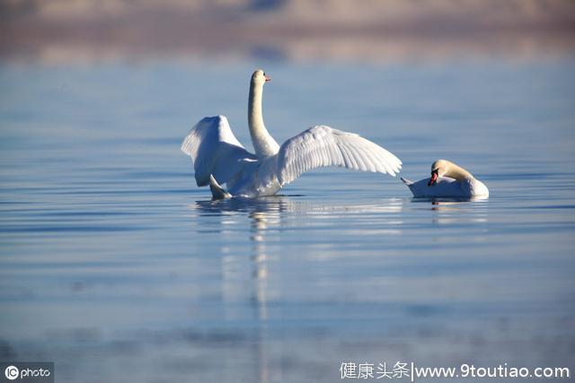 心理学：你是一个会“察言观色”的人吗？4个证明敏感大脑的表现