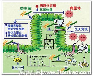 怎么降低肠癌风险？研究发现只要每周吃两次以上这种食物就有效