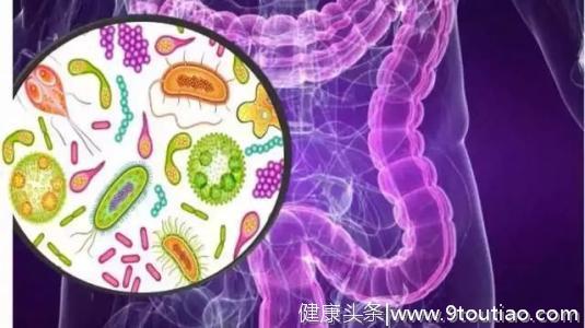 怎么降低肠癌风险？研究发现只要每周吃两次以上这种食物就有效