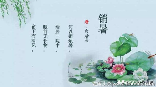 清心清补在夏至，安神养生养健康