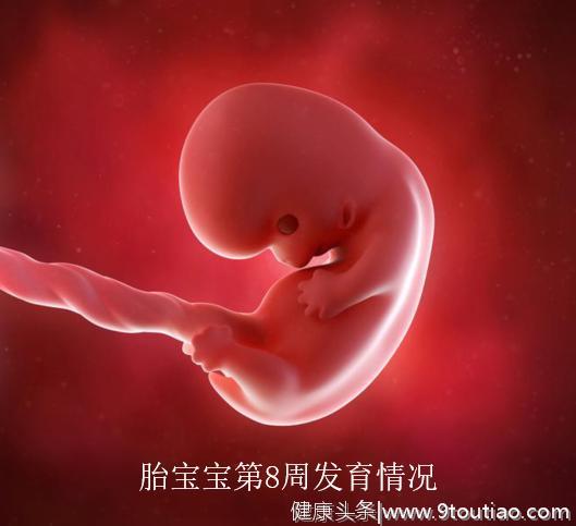 孕早期B超单上的这几个数据，孕妈看懂能知道胎儿的“小秘密”了