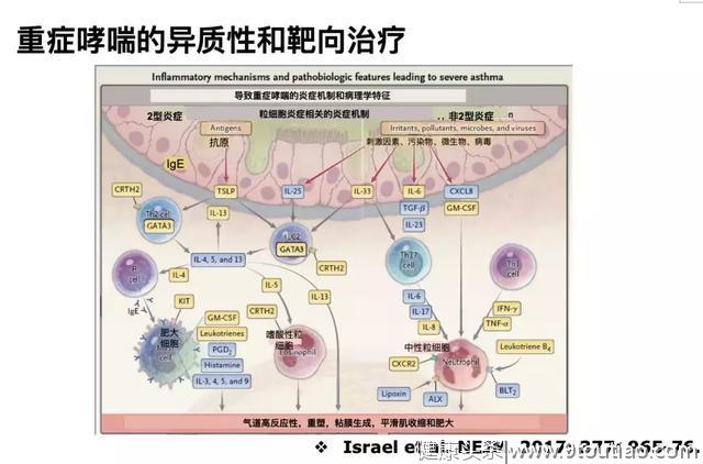 为什么哮喘治疗获得重大突破后，一部分哮喘仍未控制？