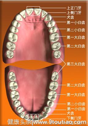 关于口腔健康的常识 你了解吗？