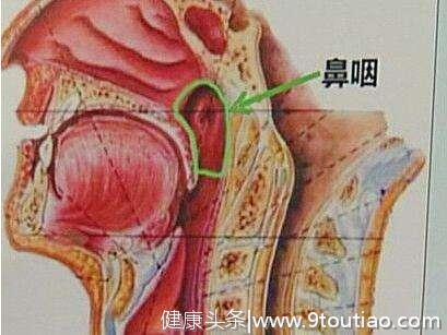 最新研究：2型糖尿病患者不仅产生并发症，癌症风险也远高于常人